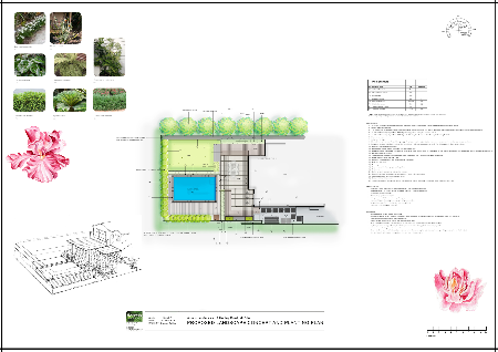 Flourish concept and planting plan 3-19 Flourish concept and planting plan 3-19